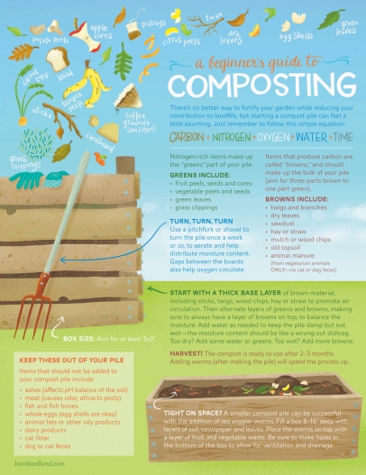 graphic of tips for beginning composting