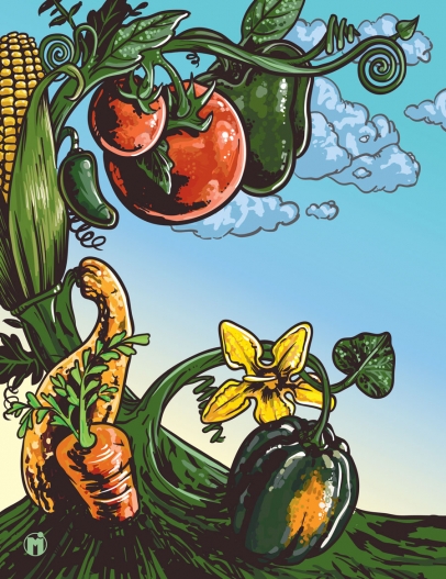 illustration of peppers, tomatoes, corn, squash, zucchini and carrots all connected