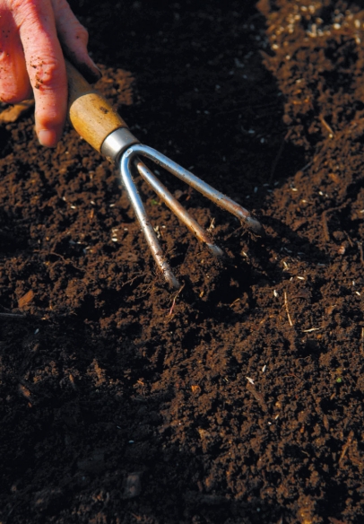 breaking up soil with gardening rake