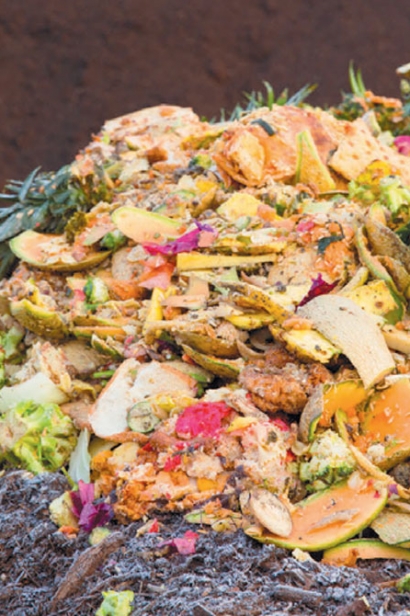 food waste in compost mixture