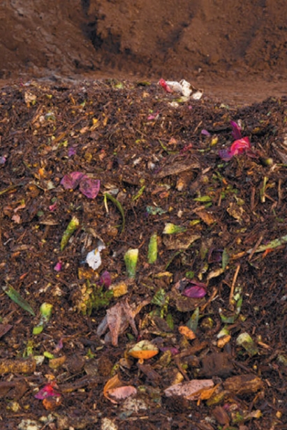 flattened diced row of food compost